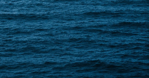 Explained by Offshore Sensing: eDNA sampling at sea