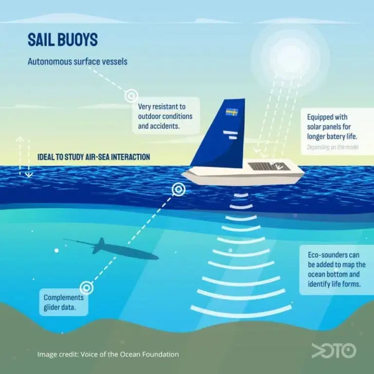 Image-credit-Voice-of-the-Ocean-Foundation-768x768