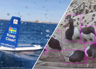 The Power of Autonomous Ocean Observation