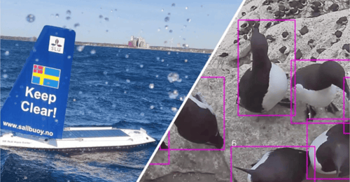 webinar with Swedish University of Agricultural Sciences